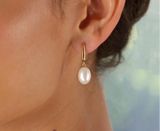 Elegant Drop Earring